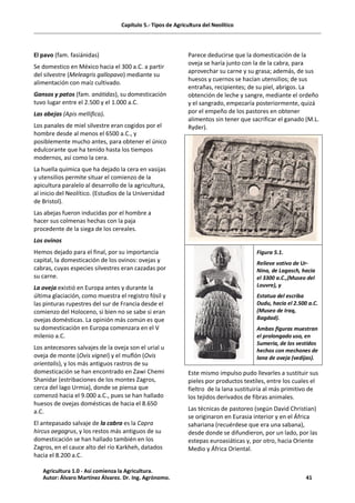 Capítulo 5.- Tipos de Agricultura del Neolítico
El pavo (fam. fasiánidas)
Se domestico en México hacia el 300 a.C. a partir
del silvestre (Meleagris gallopavo) mediante su
alimentación con maíz cultivado.
Gansos y patos (fam. anátidas), su domesticación
tuvo lugar entre el 2.500 y el 1.000 a.C.
Las abejas (Apis mellifica).
Los panales de miel silvestre eran cogidos por el
hombre desde al menos el 6500 a.C., y
posiblemente mucho antes, para obtener el único
edulcorante que ha tenido hasta los tiempos
modernos, así como la cera.
La huella química que ha dejado la cera en vasijas
y utensilios permite situar el comienzo de la
apicultura paralelo al desarrollo de la agricultura,
al inicio del Neolítico. (Estudios de la Universidad
de Bristol).
Las abejas fueron inducidas por el hombre a
hacer sus colmenas hechas con la paja
procedente de la siega de los cereales.
Los ovinos
Hemos dejado para el final, por su importancia
capital, la domesticación de los ovinos: ovejas y
cabras, cuyas especies silvestres eran cazadas por
su carne.
La oveja existió en Europa antes y durante la
última glaciación, como muestra el registro fósil y
las pinturas rupestres del sur de Francia desde el
comienzo del Holoceno, si bien no se sabe si eran
ovejas domésticas. La opinión más común es que
su domesticación en Europa comenzara en el V
milenio a.C.
Los antecesores salvajes de la oveja son el urial u
oveja de monte (Ovis vignei) y el muflón (Ovis
orientalis), y los más antiguos rastros de su
domesticación se han encontrado en Zawi Chemi
Shanidar (estribaciones de los montes Zagros,
cerca del lago Urmia), donde se piensa que
comenzó hacia el 9.000 a.C., pues se han hallado
huesos de ovejas domésticas de hacia el 8.650
a.C.
El antepasado salvaje de la cabra es la Capra
hircus aegagrus, y los restos más antiguos de su
domesticación se han hallado también en los
Zagros, en el cauce alto del río Karkheh, datados
hacia el 8.200 a.C.
Parece deducirse que la domesticación de la
oveja se haría junto con la de la cabra, para
aprovechar su carne y su grasa; además, de sus
huesos y cuernos se hacían utensilios; de sus
entrañas, recipientes; de su piel, abrigos. La
obtención de leche y sangre, mediante el ordeño
y el sangrado, empezaría posteriormente, quizá
por el empeño de los pastores en obtener
alimentos sin tener que sacrificar el ganado (M.L.
Ryder).
Figura 5.1.
Relieve votivo de Ur-
Nina, de Lagasch, hacia
el 3300 a.C.,(Museo del
Louvre), y
Estatua del escriba
Dudu, hacia el 2.500 a.C.
(Museo de Iraq,
Bagdad).
Ambas figuras muestran
el prolongado uso, en
Sumeria, de los vestidos
hechos con mechones de
lana de oveja (vedijas).
Este mismo impulso pudo llevarles a sustituir sus
pieles por productos textiles, entre los cuales el
fieltro de la lana sustituiría al más primitivo de
los tejidos derivados de fibras animales.
Las técnicas de pastoreo (según David Christian)
se originaron en Eurasia interior y en el África
sahariana (recuérdese que era una sabana),
desde donde se difundieron, por un lado, por las
estepas euroasiáticas y, por otro, hacia Oriente
Medio y África Oriental.
Agricultura 1.0 - Así comienza la Agricultura.
Autor: Álvaro Martínez Álvarez. Dr. Ing. Agrónomo. 41
 