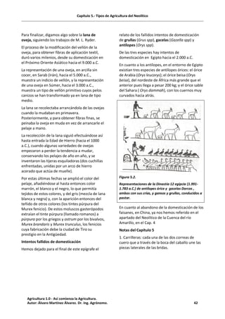 Capítulo 5.- Tipos de Agricultura del Neolítico
Para finalizar, digamos algo sobre la lana de
oveja, siguiendo los trabajos de M. L. Ryder.
El proceso de la modificación del vellón de la
oveja, para obtener fibras de aplicación textil,
duró varios milenios, desde su domesticación en
el Próximo Oriente Asiático hacia el 9.000 a.C.
La representación de una oveja, en arcilla sin
cocer, en Sarab (Irán), hacia el 5.000 a.C.,
muestra un indicio de vellón, y la representación
de una oveja en Súmer, hacia el 3.000 a.C.,
muestra un tipo de vellón primitivo cuyos pelos
canizos se han transformado ya en lana de tipo
medio.
La lana se recolectaba arrancándola de las ovejas
cuando la mudaban en primavera.
Posteriormente, y para obtener fibras finas, se
peinaba la oveja en muda en vez de arrancarle el
pelaje a mano.
La recolección de la lana siguió efectuándose así
hasta entrada la Edad de Hierro (hacia el 1000
a.C.), cuando algunas variedades de ovejas
empezaron a perder la tendencia a mudar,
conservando los pelajes de año en año, y se
inventaron las tijeras esquiladoras (dos cuchillas
enfrentadas, unidas por un arco de hierro
acerado que actúa de muelle).
Por estas últimas fechas se amplió el color del
pelaje, añadiéndose al hasta entonces color
marrón, el blanco y el negro, lo que permitía
tejidos de estos colores, y del gris (mezcla de lana
blanca y negra) y, con la aparición entonces del
teñido de otros colores (los tintes púrpura del
Murex fenicio). De estos moluscos gasterópodos
extraían el tinte púrpura (llamado romanos) a
púrpura por los griegos y ostrum por los bivalvos,
Murex brandaris y Murex trunculus, los fenicios
cuya fabricación debe la ciudad de Tiro su
prestigio en la Antigüedad.
Intentos fallidos de domesticación
Hemos dejado para el final de este epígrafe el
relato de los fallidos intentos de domesticación
de grullas (Grus spp), gacelas (Gazella spp) y
antílopes (Orys spp).
De las tres especies hay intentos de
domesticación en Egipto hacia el 2.000 a.C.
En cuanto a los antílopes, en el entorno de Egipto
existían tres especies de antílopes órices: el órice
de Arabia (Orys leucorys); el órice beisa (Orys
beisa), del nordeste de África más grande que el
anterior pues llega a pesar 200 kg; y el órice sable
del Sahara ( Orys dammah), con los cuernos muy
curvados hacia atrás.
Figura 5.2.
Representaciones de la Dinastía 12 egipcia (1.991-
1.783 a.C.) de antílopes órice y gacelas Dorcas ,
ambos con sus crías, y gansos y grullas, conducidos a
pastar.
En cuanto al abandono de la domesticación de los
faisanes, en China, ya nos hemos referido en el
apartado del Neolítico de la Cuenca del río
Amarillo, en el Cap. 4
Notas del Capítulo 5
1. Carrilleras: cada una de las dos correas de
cuero que a través de la boca del caballo une las
piezas laterales de las bridas.
Agricultura 1.0 - Así comienza la Agricultura.
Autor: Álvaro Martínez Álvarez. Dr. Ing. Agrónomo. 42
 