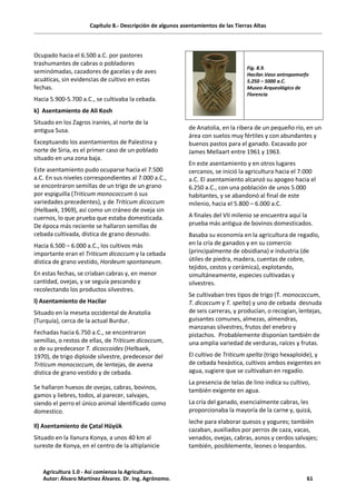 Capítulo 8.- Descripción de algunos asentamientos de las Tierras Altas
Ocupado hacia el 6.500 a.C. por pastores
trashumantes de cabras o pobladores
seminómadas, cazadores de gacelas y de aves
acuáticas, sin evidencias de cultivo en estas
fechas.
Hacia 5.900-5.700 a.C., se cultivaba la cebada.
k) Asentamiento de Ali Kosh
Situado en los Zagros iraníes, al norte de la
antigua Susa.
Exceptuando los asentamientos de Palestina y
norte de Siria, es el primer caso de un poblado
situado en una zona baja.
Este asentamiento pudo ocuparse hacia el 7.500
a.C. En sus niveles correspondientes al 7.000 a.C.,
se encontraron semillas de un trigo de un grano
por espiguilla (Triticum monococcum ó sus
variedades precedentes), y de Triticum dicoccum
(Helbaek, 1969), así como un cráneo de oveja sin
cuernos, lo que prueba que estaba domesticada.
De época más reciente se hallaron semillas de
cebada cultivada, dística de grano desnudo.
Hacia 6.500 – 6.000 a.C., los cultivos más
importante eran el Triticum dicoccum y la cebada
dística de grano vestido, Hordeum spontaneum.
En estas fechas, se criaban cabras y, en menor
cantidad, ovejas, y se seguía pescando y
recolectando los productos silvestres.
l) Asentamiento de Hacilar
Situado en la meseta occidental de Anatolia
(Turquía), cerca de la actual Burdur.
Fechadas hacia 6.750 a.C., se encontraron
semillas, o restos de ellas, de Triticum dicoccum,
o de su predecesor T. dicoccoides (Helbaek,
1970), de trigo diploide silvestre, predecesor del
Triticum monococcum, de lentejas, de avena
dística de grano vestido y de cebada.
Se hallaron huesos de ovejas, cabras, bovinos,
gamos y liebres, todos, al parecer, salvajes,
siendo el perro el único animal identificado como
domestico.
ll) Asentamiento de Çatal Hüyük
Situado en la llanura Konya, a unos 40 km al
sureste de Konya, en el centro de la altiplanicie
Fig. 8.9.
Hacilar.Vaso antropomorfo
5.250 – 5000 a.C.
Museo Arqueológico de
Florencia
de Anatolia, en la ribera de un pequeño río, en un
área con suelos muy fértiles y con abundantes y
buenos pastos para el ganado. Excavado por
James Mellaart entre 1961 y 1963.
En este asentamiento y en otros lugares
cercanos, se inició la agricultura hacia el 7.000
a.C. El asentamiento alcanzó su apogeo hacia el
6.250 a.C., con una población de unos 5.000
habitantes, y se abandonó al final de este
milenio, hacia el 5.800 – 6.000 a.C.
A finales del VII milenio se encuentra aquí la
prueba más antigua de bovinos domesticados.
Basaba su economía en la agricultura de regadío,
en la cría de ganados y en su comercio
(principalmente de obsidiana) e industria (de
útiles de piedra, madera, cuentas de cobre,
tejidos, cestos y cerámica), explotando,
simultáneamente, especies cultivadas y
silvestres.
Se cultivaban tres tipos de trigo (T. monococcum,
T. dicoccum y T. spelta) y uno de cebada desnuda
de seis carreras, y producían, o recogían, lentejas,
guisantes comunes, almezas, almendras,
manzanas silvestres, frutos del enebro y
pistachos. Probablemente disponían también de
una amplia variedad de verduras, raíces y frutas.
El cultivo de Triticum spelta (trigo hexaploide), y
de cebada hexástica, cultivos ambos exigentes en
agua, sugiere que se cultivaban en regadío.
La presencia de telas de lino indica su cultivo,
también exigente en agua.
La cría del ganado, esencialmente cabras, les
proporcionaba la mayoría de la carne y, quizá,
leche para elaborar quesos y yogures; también
cazaban, auxiliados por perros de caza, vacas,
venados, ovejas, cabras, asnos y cerdos salvajes;
también, posiblemente, leones o leopardos.
Agricultura 1.0 - Así comienza la Agricultura.
Autor: Álvaro Martínez Álvarez. Dr. Ing. Agrónomo. 61
 