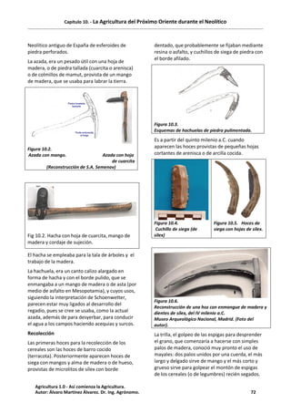 Capítulo 10. - La Agricultura del Próximo Oriente durante el Neolítico
Neolítico antiguo de España de esferoides de
piedra perforados.
La azada, era un pesado útil con una hoja de
madera, o de piedra tallada (cuarcita o arenisca)
o de colmillos de mamut, provista de un mango
de madera, que se usaba para labrar la tierra.
Figura 10.2.
Azada con mango. Azada con hoja
de cuarcita
(Reconstrucción de S.A. Semenov)
Fig 10.2. Hacha con hoja de cuarcita, mango de
madera y cordaje de sujeción.
El hacha se empleaba para la tala de árboles y el
trabajo de la madera.
La hachuela, era un canto calizo alargado en
forma de hacha y con el borde pulido, que se
enmangaba a un mango de madera o de asta (por
medio de asfalto en Mesopotamia), y cuyos usos,
siguiendo la interpretación de Schoenwetter,
parecen estar muy ligados al desarrollo del
regadío, pues se cree se usaba, como la actual
azada, además de para desyerbar, para conducir
el agua a los campos haciendo acequias y surcos.
Recolección
Las primeras hoces para la recolección de los
cereales son las hoces de barro cocido
(terracota). Posteriormente aparecen hoces de
siega con mangos y alma de madera o de hueso,
provistas de microlitos de sílex con borde
dentado, que probablemente se fijaban mediante
resina o asfalto, y cuchillos de siega de piedra con
el borde afilado.
Figura 10.3.
Esquemas de hachuelas de piedra pulimentada.
Es a partir del quinto milenio a.C. cuando
aparecen las hoces provistas de pequeñas hojas
cortantes de arenisca o de arcilla cocida.
Figura 10.4.
Cuchillo de siega (de
silex)
Figura 10.5. Hoces de
siega con hojas de silex.
Figura 10.6.
Reconstrucción de una hoz con enmangue de madera y
dientes de sílex, del IV milenio a.C.
Museo Arqueológico Nacional, Madrid. (Foto del
autor).
La trilla, el golpeo de las espigas para desprender
el grano, que comenzaría a hacerse con simples
palos de madera, conoció muy pronto el uso de
mayales: dos palos unidos por una cuerda, el más
largo y delgado sirve de mango y el más corto y
grueso sirve para golpear el montón de espigas
de los cereales (o de legumbres) recién segados.
Agricultura 1.0 - Así comienza la Agricultura.
Autor: Álvaro Martínez Álvarez. Dr. Ing. Agrónomo. 72
 