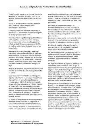 Capítulo 10. - La Agricultura del Próximo Oriente durante el Neolítico
También podría recolectarse el cereal tirando de
la espiga con los dedos desnudos, pues en los
cereales primitivos esta tiende a doblarse sobre
el tallo.
La paja se recolectaría con una siega posterior
cerca del suelo, para su empleo como
combustible o techumbre.
Cualquiera que fuese el método empleado, la
recolección se complementaría con un espigado
de las espigas caídas en el suelo.
El cereal, una vez segado, se agrupaba en haces y
se transportaba a un terreno firme y limpio,
donde se extendía para su secado y posterior
trillado, golpeándolo con mayales o con bieldos
de madera, o bien haciendo patear la parva por
los animales.
Seguidamente, se aventaba, para separar el
grano de la paja, mediante bieldos de madera o,
como muestran ilustraciones egipcias, llenando
con parva dos medias calabazas que se elevaban
y abrían por encima de la cabeza del campesino;
método, este último, vigente entre las actuales
campesinas de Malí para aventar el sorgo y el
mijo.
Después de aventado, los granos se cribaban para
eliminar las semillas de las malezas y otros restos
de la trilla.
Muchas de estas modalidades de trilla siguen
vigentes actualmente en zonas subdesarrolladas:
algunas tribus de agricultores de Etiopía no
emplean aún ni el trillo de pedernal arrastrado
por ganado vacuno o equino; la trilla por el pateo
de los animales aún se practicaba en tiempos
cercanos en algunas comarcas del mediterráneo
oriental; el empleo del mayal ha sido habitual
hasta el primer tercio del siglo XX en algunas
comarcas norteñas de España, sobre todo para la
trilla del centeno.
En cuanto a las leguminosas, la recolección de las
cultivadas para el consumo de sus granos, se
haría del mismo modo que se seguía haciendo,
hasta tiempos recientes, en las mesetas de Asia
Menor y en las españolas: arrancando las matas,
agavillándolas y dejándolas secar al sol sobre el
terreno durante dos o tres días antes de llevarlas
a la era y trillarlas (las lentejas), o segándolas y
llevándolas a la era y trillándolas (las vezas y los
garbanzos).
Por último, el grano se almacenaba en
recipientes de cestería, de barro sin cocer, de
barro cocido o en silos subterráneos. Tanto los
recipientes de barro como los silos se tapaban
herméticamente para impedir la entrada de aire
y los insectos.
Los silos eran fosas hechas en el suelo, de hasta
tres metros de profundidad, con las paredes
revestidas de paja o de un revoque de arcilla.
El cultivo de regadío se haría en los cauces y
cubetas naturales de inundación estacional,
sembrando a la retirada de las aguas.
No podríamos terminar este apartado sobre el
cultivo primitivo sin referirnos a las posteriores
labores de acondicionamiento de los granos
cultivados, o recolectados de las variedades
silvestres.
Las especies silvestres de trigo y de cebada, y sus
intermedias hasta las sativas, antes de que la
selección practicada en ellas condujera a especies
de grano desnudo, tienen una gluma muy dura de
difícil desprendimiento en la molienda, por ello
no son adecuadas para la panificación (pero si,
como ya dijimos, para elaborar cerveza), por lo
que una vez molidos en los molinos manuales de
piedra se cocían para hacer gachas.
Este problema comenzó a solucionarse hacia el
8.000 a.C., con la aparición de los pozos para el
tueste del cereal, “pozos de fuego”; con ellos los
granos de cereal tostado desprendían más
fácilmente la gluma en la molienda y podían
panificarse. Por otra parte, el cereal tostado se
conserva mejor, al impedirse su germinación, y
sea esta o la anterior la causa primera de la
aparición de estos “pozos de fuego” el hecho
cierto es que acabaron cumpliendo ambos fines,
de ahí su amplia difusión en los asentamientos.
Los granos del cereal podrían haberse tostado
sobre piedras previamente calentadas.
Agricultura 1.0 - Así comienza la Agricultura.
Autor: Álvaro Martínez Álvarez. Dr. Ing. Agrónomo. 75
 