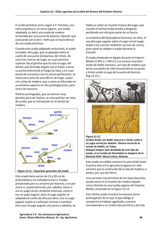 Capítulo 12.- Útiles agrícolas de la Edad del Bronce del Próximo Oriente
El arado primitivo sería, según E.P. Prentice, una
rama angulosa y, en otros lugares, una azada
adaptada, es decir una azada de madera
arrastrada por una yunta de bovinos. Opinión que
concuerda con la de E. Hahn que lo hacía derivar
de una azada primitiva.
Cuando esta azada adaptada evolucionó, el arado
constaba: del yugo, que se apoyaba sobre el
cuello de una yunta de bovinos; del timón, de
unos tres metros de largo, en cuyo extremo
superior iba el gancho que lo unía al yugo; del
dental, que formaba ángulo con el timón y tenía
su punta endurecida al fuego (la reja), y en cuyo
punto de encuentro con él, previa perforación, se
metía otra rama de unos 80 cm de largo, sujeta
con cuñas de madera, que a veces se bifurcaba en
su extremo superior en dos prolongaciones, para
servir de mancera.
Piedras puntiagudas, que se estiman muy
grandes para ser hachas, se cree podrían ser rejas
de arado, que se introducían en el dental de
madera.
Este arado hacía surcos de 15 a 20 cm de
profundidad y no volteaba la tierra. Estaba
proyectado para su arrastre por bovinos, y no por
asnos ni, posteriormente, por caballos, tanto si
era un yugo cornal, evidente entonces, como si
era un yugo yugular, pues el yugo yugular se
adaptaba al cuello de ellos (es decir, era un yugo
yugular sujeto al cuello por correas o cuerdas).
Para usar el yugo yugular con asnos o caballos, se
fijaba un collar en la parte trasera del yugo, que
cuando el animal tiraba tendía a ahogarlo,
perdiendo con ello gran parte de su fuerza.
La anatomía del buey giboso favorece, en ellos, el
uso del yugo yugular sobre el yugo cornal (yugo
atado a los cuernos mediante correas de cuero),
pues aquel se adapta a la giba durante la
tracción.
El arado empleado en Egipto durante el Imperio
Medio (1.991 a 1.783 a.C.) se conoce muy bien:
arado de doble mancera, con reja de madera que
tenía una piedra de sílex encastrada en su punta,
y timón unido al yugo de la yunta de bovinos.
(Fig.12.12.).
Figura 12.12.
Arriba) Arado con doble mancera y timón unido a
un yugo cornal por delante. Pintura mural de la
tumba de Nakht, en Tebas.
Debajo) Imagen más detallada de este tipo de
arado, en la tumba de Horembeb en Saqqara de la
Dinastía XVIII. Museo Cívico. Bolonia.
Este arado con doble mancera ha persistido hasta
nuestros días en la agricultura egipcia sin más
variante que la sustitución de la reja de madera, o
piedra, por una de hierro.
Una variante más primitiva de los tipos descritos,
puede verse en el modelo de madera dejado
como ofrenda en una tumba egipcia del Imperio
Medio, mostrado en la Figura 12.13.
Este último arado muestra la mancera como
prolongación de la reja, lo que obliga al
campesino a trabajar agachado, y parece
corresponder a un arado más primitivo y de más
Figura 12.11.- Esquemas generales del arado
Agricultura 1.0 - Así comienza la Agricultura.
Autor: Álvaro Martínez Álvarez. Dr. Ing. Agrónomo. 86
 