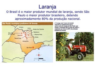 Laranja O Brasil é o maior produtor mundial de laranja, sendo São Paulo o maior produtor brasileiro, detendo aproximadamente 80% da produção nacional. 