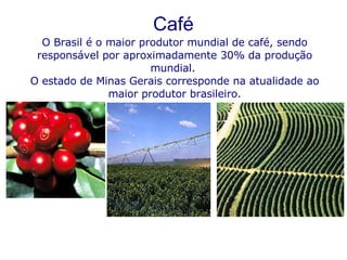 Café O Brasil é o maior produtor mundial de café, sendo responsável por aproximadamente 30% da produção mundial.  O estado de Minas Gerais corresponde na atualidade ao maior produtor brasileiro. 