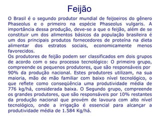 Feijão O Brasil é o segundo produtor mundial de feijoeiros do gênero Phaseolus e o primeiro na espécie Phaseolus vulgaris. A importância dessa produção, deve-se a que o feijão, além de se constituir um dos alimentos básicos da população brasileira é um dos principais produtos fornecedores de proteína na dieta alimentar dos estratos sociais, economicamente menos favorecidos. Os produtores de feijão podem ser classificados em dois grupos de acordo com o seu processo tecnológico: O primeiro grupo, compreende os pequenos produtores, que são responsáveis por 90% da produção nacional. Estes produtores utilizam, na sua maioria, mão de mão familiar com baixo nível tecnológico, o que reflete como conseqüência uma produtividade média de 776 kg/há, considerada baixa. O Segundo grupo, compreende os grandes produtores, que são responsáveis por 10% restantes da produção nacional que provém de lavoura com alto nível tecnológico, onde a irrigação é essencial para alcançar a produtividade média de 1.584 Kg/há.   