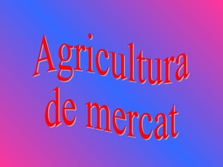 Agricultura  de mercat 