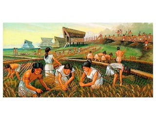Agricultura maya-convertido