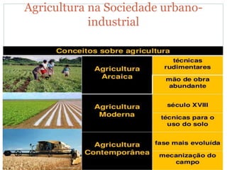 Agricultura na Sociedade urbano-
industrial
 