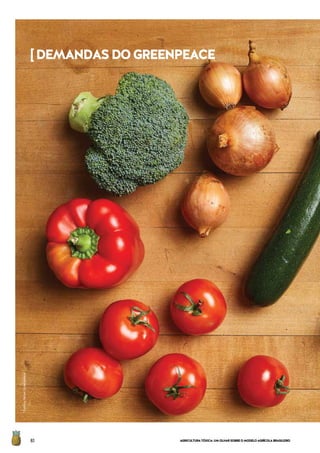 AGRICULTURATÓXICA:UMOLHARSOBREOMODELOAGRÍCOLABRASILEIRO80
[DEMANDASDOGREENPEACE
©DennisReher/Greenpeace
 