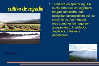 cultivo de regadio consiste en aportar agua al suelo para que los vegetales tengan suministro  que nesesitan favorecimieto asi  su crecimiento. los metodos  mas comunes de riego son  arroyamiento, inundacion ,aspersor, canales y aspersores. dani,y salva 