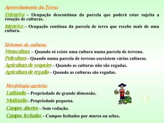 Sistemas de cultura: Monocultura   – Quando só existe uma cultura numa parcela de terreno. Policultura  –  Quando numa parcela de terreno coexistem várias culturas . Agricultura de sequeiro   – Quando as culturas não são regadas. Agricultura de regadio  –  Quando as culturas são regadas. Aproveitamento da Terra: Extensiva  – Ocupação descontínua da parcela que poderá estar sujeita a rotação de culturas. I ntensiva   – Ocupação contínua da parcela de terra que recebe mais de uma cultura. Morfologia agrária: Latifúndio   – Propriedade de grande dimensão. Minifúndio  -  Propriedade pequena. Campos abertos  –  Sem vedação. Campos fechados  –  Campos fechados por muros ou sebes. 