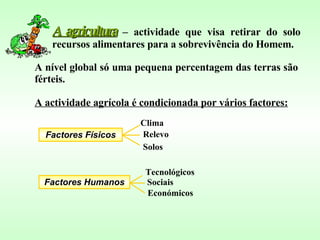 A agricultura  – actividade que visa retirar do solo recursos alimentares para a sobrevivência do Homem. A nível global só uma pequena percentagem das terras são férteis.  A actividade agrícola é condicionada por vários factores: Factores Físicos Factores Humanos Clima Relevo Solos Sociais Tecnológicos Económicos 