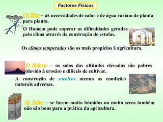 Factores Físicos O Clima  – as  necessidades de calor e de água variam de planta para planta. O Relevo  –  os solos das altitudes elevadas são pobres (devido à erosão) e difíceis de cultivar. Os  climas temperados  são os mais propícios à agricultura. O Homem pode superar as dificuldades geradas pelo clima através da construção de estufas. A construção de  socalcos  atenua as condições naturais adversas.  Os Solos  –  se forem muito húmidos ou muito secos também não são bons para a prática da agricultura. 
