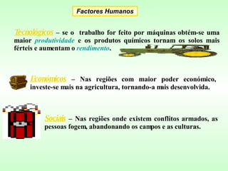 Tecnológicos   – se o  trabalho for feito por máquinas obtém-se uma maior  produtividade  e os produtos químicos tornam os solos mais férteis e aumentam o  rendimento . Factores Humanos Económicos  – Nas regiões com maior poder económico, investe-se mais na agricultura, tornando-a mais desenvolvida. Sociais   – Nas regiões onde existem conflitos armados, as pessoas fogem, abandonando os campos e as culturas. 