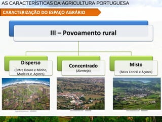 III – Povoamento rural
Disperso
(Entre Douro e Minho,
Madeira e Açores)
Concentrado
(Alentejo)
Misto
(Beira Litoral e Açores)
CARACTERIZAÇÃO DO ESPAÇO AGRÁRIO
 