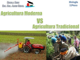 Biologia  12ºano Agricultura Moderna  VS Agricultura Tradicional 