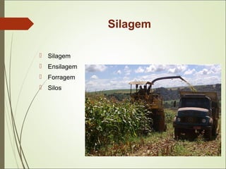 Silagem
 Silagem
 Ensilagem
 Forragem
 Silos
 