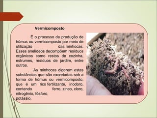 Vermicomposto
É o processo de produção de
húmus ou vermicomposto por meio de
utilização das minhocas.
Esses anelídeos decompõem resíduos
orgânicos como restos de cozinha,
estrumes, resíduos de jardim, entre
outros.
As minhocas digerem estas
substâncias que são excretadas sob a
forma de húmus ou vermicomposto,
que é um rico fertilizante, inodoro,
contendo ferro, zinco, cloro,
nitrogênio, fósforo,
potássio.
 