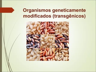 Organismos geneticamente
modificados (transgênicos)
 