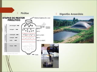  Pirólise  Digestão Anaeróbia
 
