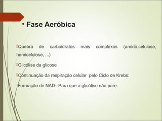 • Fase Aeróbica
Quebra de carboidratos mais complexos (amido,celulose,
hemicelulose, ...)
Glicólise da glicose
Continuação da respiração celular pelo Ciclo de Krebs:
Formação de NAD+.
Para que a glicólise não pare.
 