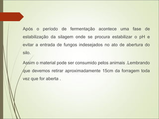 Após o período de fermentação acontece uma fase de
estabilização da silagem onde se procura estabilizar o pH e
evitar a entrada de fungos indesejados no ato de abertura do
silo.
Assim o material pode ser consumido pelos animais .Lembrando
que devemos retirar aproximadamente 15cm da forragem toda
vez que for aberta .
 
