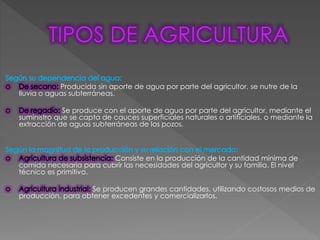 Producida sin aporte de agua por parte del agricultor, se nutre de la
lluvia o aguas subterráneas.
Se produce con el aporte de agua por parte del agricultor, mediante el
suministro que se capta de cauces superficiales naturales o artificiales, o mediante la
extracción de aguas subterráneas de los pozos.
Consiste en la producción de la cantidad mínima de
comida necesaria para cubrir las necesidades del agricultor y su familia. El nivel
técnico es primitivo.
Se producen grandes cantidades, utilizando costosos medios de
producción, para obtener excedentes y comercializarlos.
 