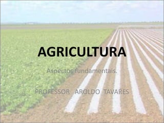 AGRICULTURA
  Aspectos fundamentais.

PROFESSOR AROLDO TAVARES
 