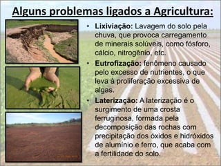 Alguns problemas ligados a Agricultura:
              • Lixiviação: Lavagem do solo pela
                chuva, que provoca carregamento
                de minerais solúveis, como fósforo,
                cálcio, nitrogênio, etc.
              • Eutrofização: fenômeno causado
                pelo excesso de nutrientes, o que
                leva à proliferação excessiva de
                algas.
              • Laterização: A laterização é o
                surgimento de uma crosta
                ferruginosa, formada pela
                decomposição das rochas com
                precipitação dos óxidos e hidróxidos
                de alumínio e ferro, que acaba com
                a fertilidade do solo.
 