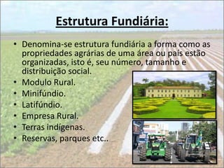 Estrutura Fundiária:
• Denomina-se estrutura fundiária a forma como as
  propriedades agrárias de uma área ou país estão
  organizadas, isto é, seu número, tamanho e
  distribuição social.
• Modulo Rural.
• Minifúndio.
• Latifúndio.
• Empresa Rural.
• Terras indígenas.
• Reservas, parques etc..
 