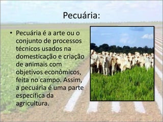Pecuária:
• Pecuária é a arte ou o
  conjunto de processos
  técnicos usados na
  domesticação e criação
  de animais com
  objetivos econômicos,
  feita no campo. Assim,
  a pecuária é uma parte
  específica da
  agricultura.
 