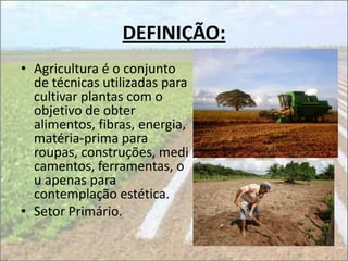 DEFINIÇÃO:
• Agricultura é o conjunto
  de técnicas utilizadas para
  cultivar plantas com o
  objetivo de obter
  alimentos, fibras, energia,
  matéria-prima para
  roupas, construções, medi
  camentos, ferramentas, o
  u apenas para
  contemplação estética.
• Setor Primário.
 