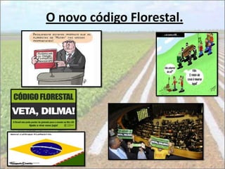 O novo código Florestal.
 