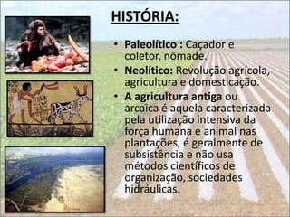 HISTÓRIA:
• Paleolítico : Caçador e
  coletor, nômade.
• Neolítico: Revolução agrícola,
  agricultura e domesticação.
• A agricultura antiga ou
  arcaica é aquela caracterizada
  pela utilização intensiva da
  força humana e animal nas
  plantações, é geralmente de
  subsistência e não usa
  métodos científicos de
  organização, sociedades
  hidráulicas.
 