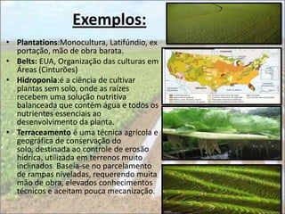 Exemplos:
• Plantations:Monocultura, Latifúndio, ex
  portação, mão de obra barata.
• Belts: EUA, Organização das culturas em
  Áreas (Cinturões)
• Hidroponia:é a ciência de cultivar
  plantas sem solo, onde as raízes
  recebem uma solução nutritiva
  balanceada que contém água e todos os
  nutrientes essenciais ao
  desenvolvimento da planta.
• Terraceamento é uma técnica agrícola e
  geográfica de conservação do
  solo, destinada ao controle de erosão
  hídrica, utilizada em terrenos muito
  inclinados. Baseia-se no parcelamento
  de rampas niveladas, requerendo muita
  mão de obra, elevados conhecimentos
  técnicos e aceitam pouca mecanização.
 