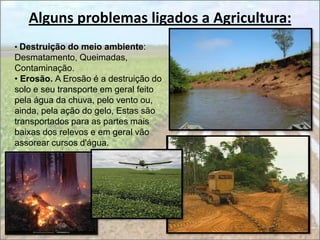 Alguns problemas ligados a Agricultura:
• Destruição do meio ambiente:
Desmatamento, Queimadas,
Contaminação.
• Erosão. A Erosão é a destruição do
solo e seu transporte em geral feito
pela água da chuva, pelo vento ou,
ainda, pela ação do gelo, Estas são
transportados para as partes mais
baixas dos relevos e em geral vão
assorear cursos d'água.
 