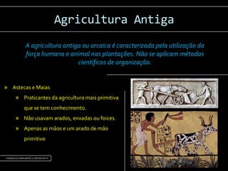 Agricultura antes e depois da ti | PPTX