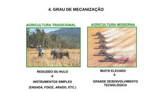 4. GRAU DE MECANIZAÇÃO
AGRICULTURA TRADICIONAL AGRICULTURA MODERNA
REDUZIDO OU NULO

INSTRUMENTOS SIMPLES
(ENXADA, FOICE, ARADO, ETC.)
MUITO ELEVADO

GRANDE DESENVOLVIMENTO
TECNOLÓGICO
 