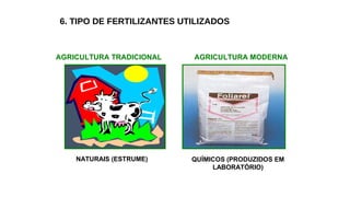 6. TIPO DE FERTILIZANTES UTILIZADOS
AGRICULTURA TRADICIONAL AGRICULTURA MODERNA
NATURAIS (ESTRUME) QUÍMICOS (PRODUZIDOS EM
LABORATÓRIO)
 