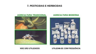 7. PESTICIDAS E HERBICIDAS
AGRICULTURA TRADICIONAL AGRICULTURA MODERNA
NÃO SÃO UTILIZADOS UTILIZAM-SE COM FREQUÊNCIA
 