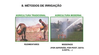 8. MÉTODOS DE IRRIGAÇÃO
AGRICULTURA TRADICIONAL AGRICULTURA MODERNA
RUDIMENTARES MODERNOS
(POR ASPERSÃO, POR PIVOT, GOTA-
A-GOTA, ...)
 