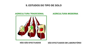 9. ESTUDOS DO TIPO DE SOLO
AGRICULTURA TRADICIONAL AGRICULTURA MODERNA
NÃO SÃO EFECTUADOS SÃO EFECTUADOS EM LABORATÓRIO
 