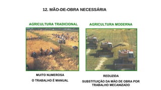 12. MÃO-DE-OBRA NECESSÁRIA
AGRICULTURA TRADICIONAL AGRICULTURA MODERNA
MUITO NUMEROSA
O TRABALHO É MANUAL
REDUZIDA
SUBSTITUIÇÃO DA MÃO DE OBRA POR
TRABALHO MECANIZADO
 