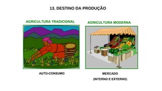 13. DESTINO DA PRODUÇÃO
AGRICULTURA TRADICIONAL AGRICULTURA MODERNA
AUTO-CONSUMO MERCADO
(INTERNO E EXTERNO)
 