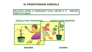 15. PRODUTIVIDADE AGRÍCOLA
AGRICULTURA TRADICIONAL AGRICULTURA MODERNA
REDUZIDA ELEVADA
RELAÇÃO ENTRE A PRODUÇÃO TOTAL OBTIDA E A MÃO-DE-
OBRA UTILIZADA.
 