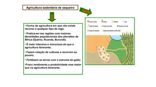 Agricultura sedentária de sequeiro
• Forma de agricultura em que não existe
recurso a qualquer tipo de rega;
• Pratica-se nas regiões com maiores
densidades populacionais dos planaltos de
África (Quénia, Ruanda, Burundi);
• É mais intensiva e minuciosa do que a
agricultura itinerante;
• Fazem rotação de culturas e recorrem ao
pousio;
• Fertilizam as terras com o estrume do gado;
•Fraco rendimento e produtividade mas maior
que na agricultura itinerante.
 