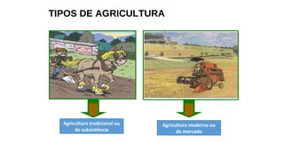 TIPOS DE AGRICULTURA
Agricultura tradicional ou
de subsistência
Agricultura moderna ou
de mercado
 