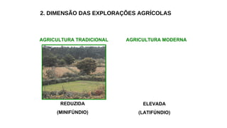 2. DIMENSÃO DAS EXPLORAÇÕES AGRÍCOLAS
AGRICULTURA TRADICIONAL AGRICULTURA MODERNA
REDUZIDA
(MINIFÚNDIO)
ELEVADA
(LATIFÚNDIO)
 