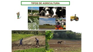 TIPOS DE AGRICULTURA
 