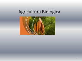 Agricultura Biológica




                        1
 